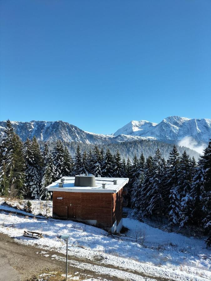 Appartement Le Sorbier A Chamrousse 3 Pieces 6 Personnes Aux Pieds Des Pistes Dış mekan fotoğraf